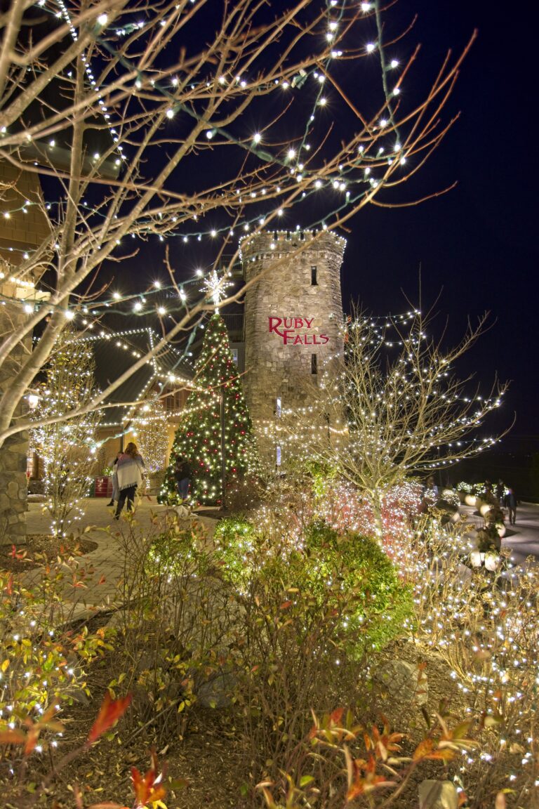 Plaza at Ruby Falls with white Christmas lights in landscaping and stone tower.